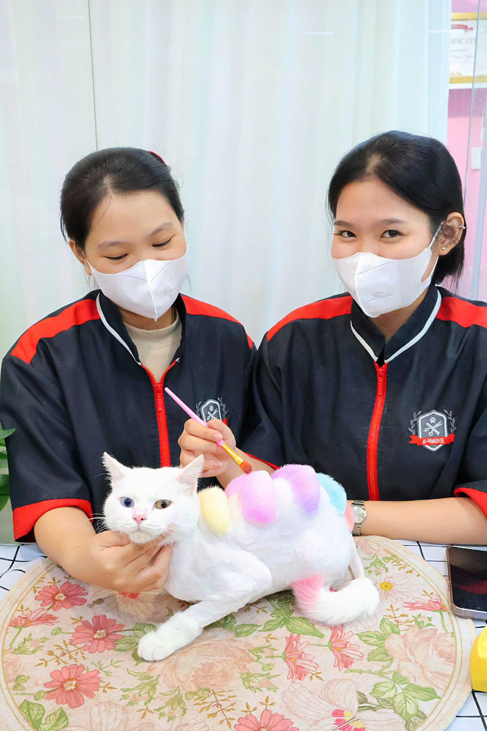 Học viên thực hành tạo màu trên mèo
