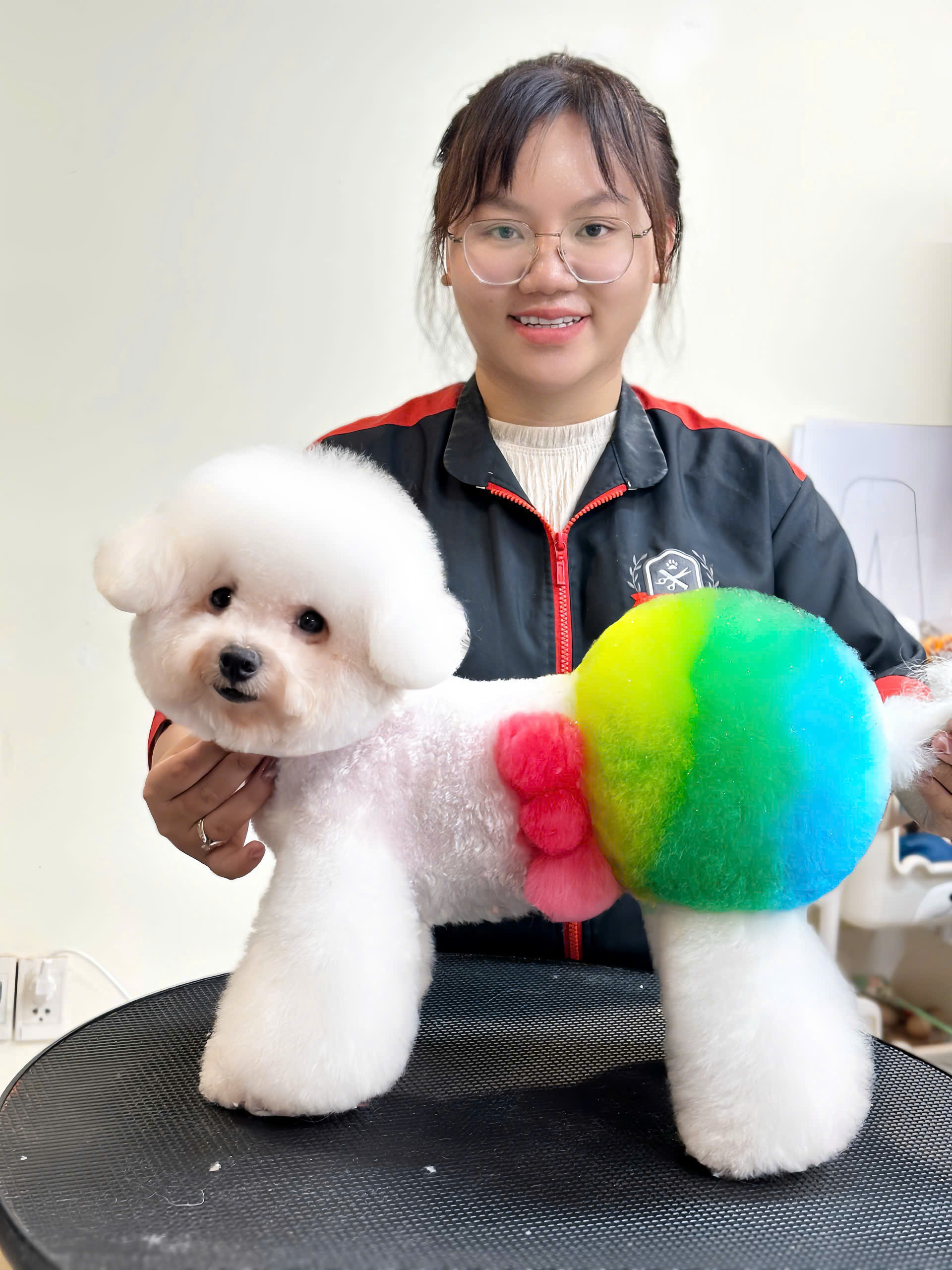 Học viên thực hành nhuộm sáng tạo trên Poodle
