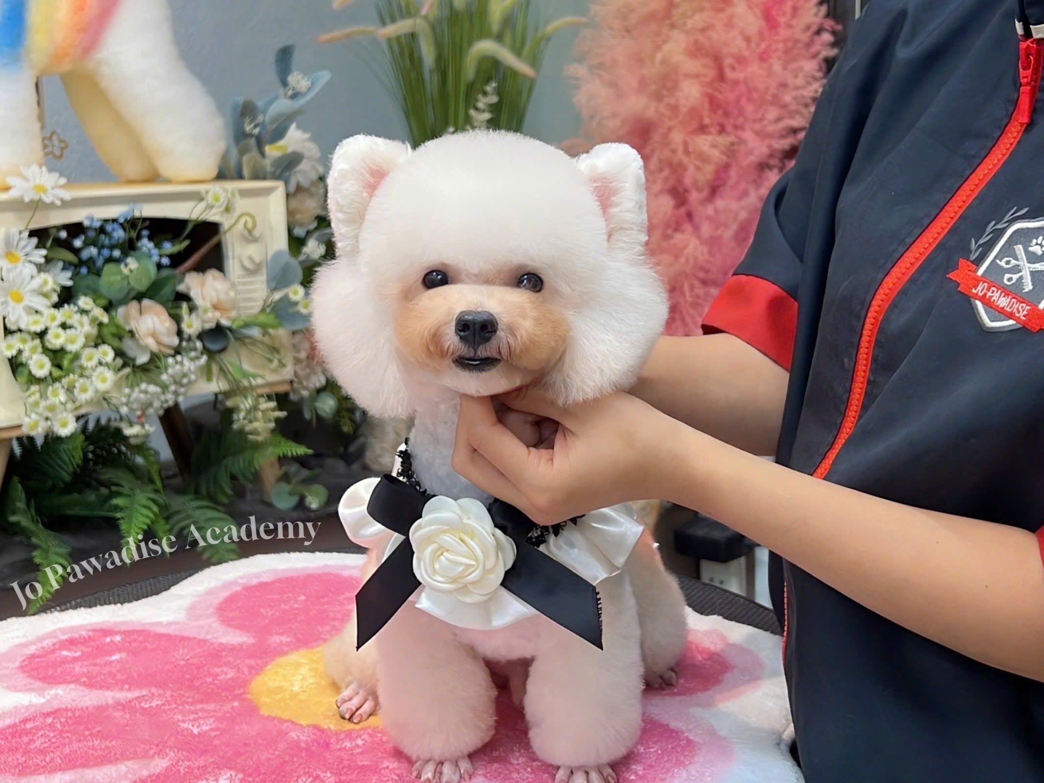 Tác phẩm grooming hoàn thiện tại học viện