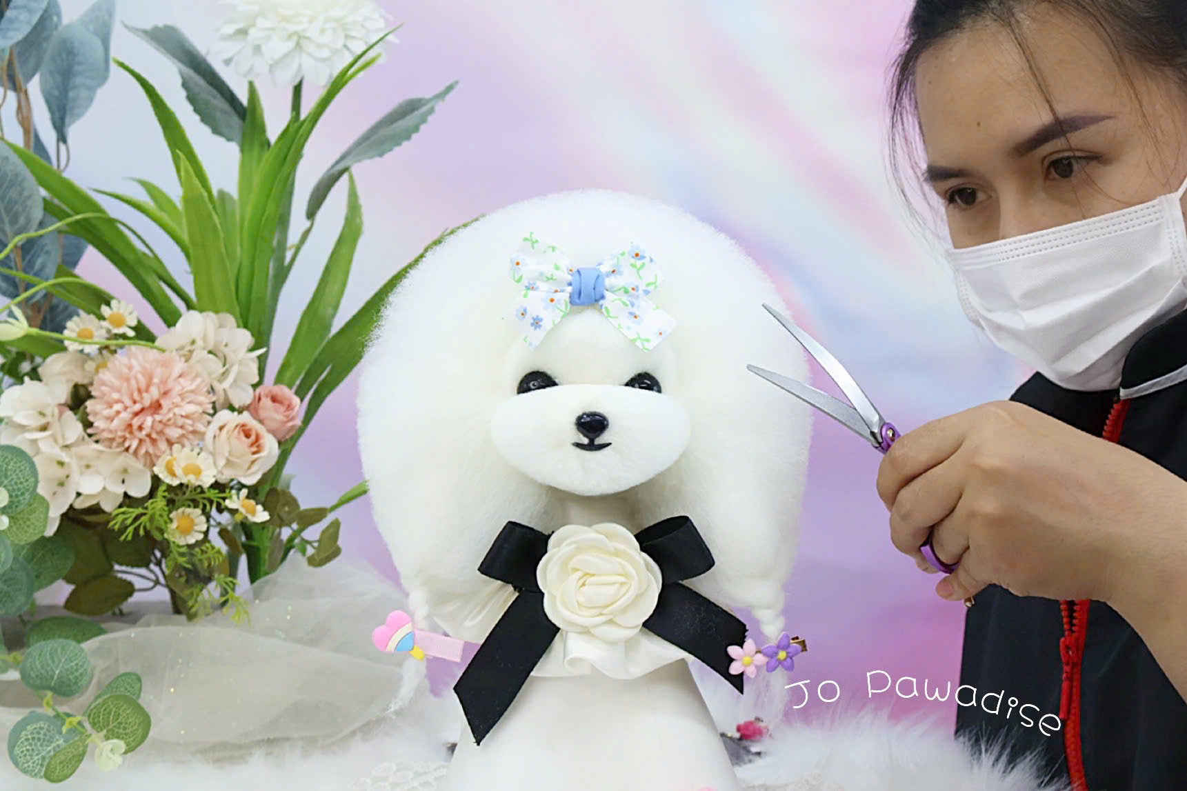 Học viên JO Pawadise thực hành cắt tỉa tạo kiểu trên chó thật