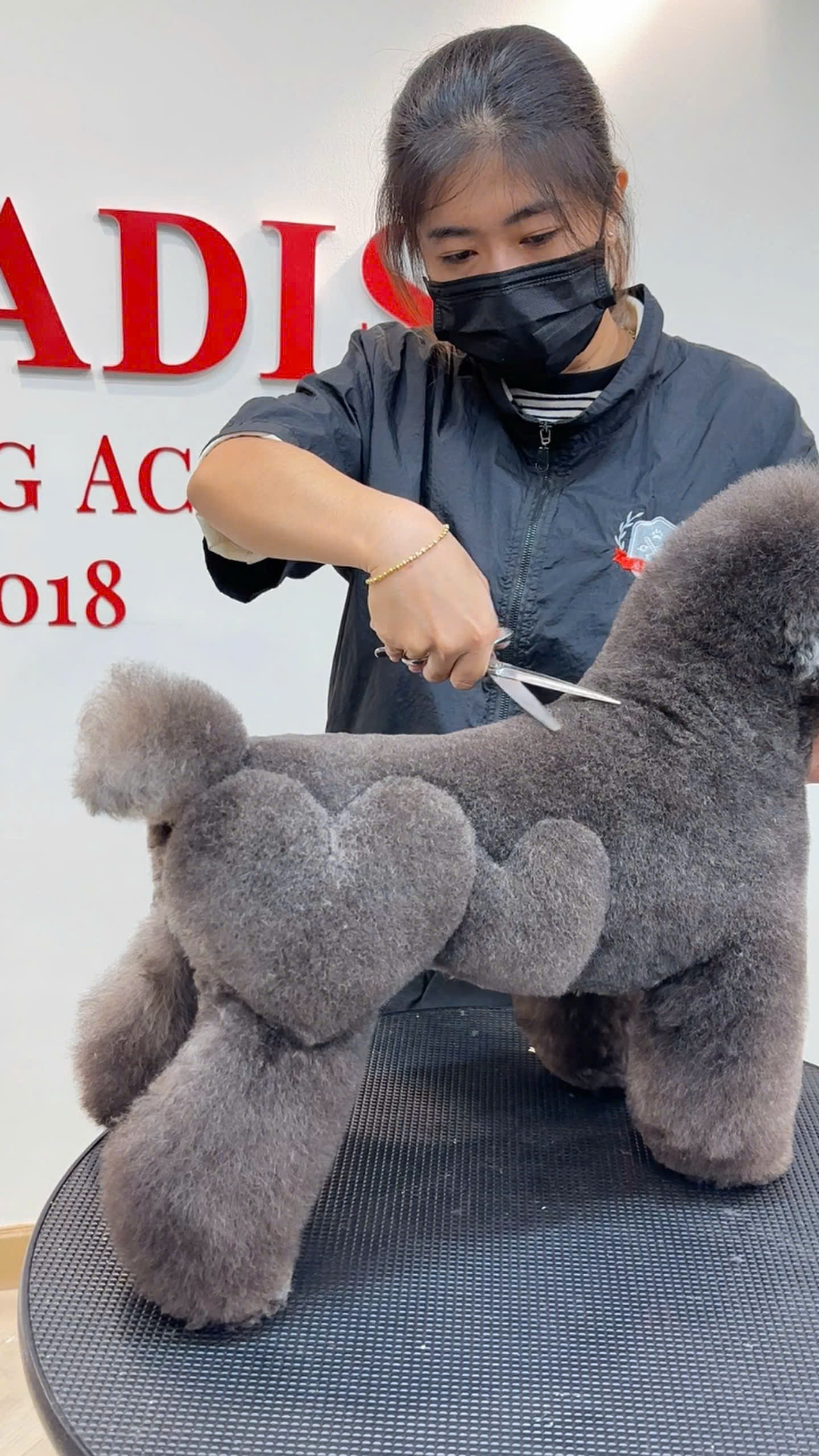 Học viên thực hành cắt tỉa Poodle tại JO Pawadise